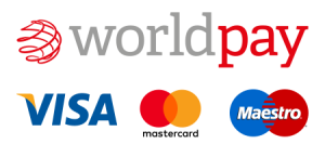 Payment providers logos